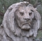 lion 64 res.jpg