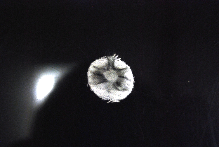 22 cal bore patch.jpg