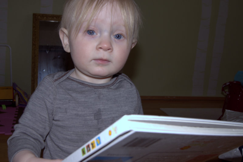 Ugla og bókin