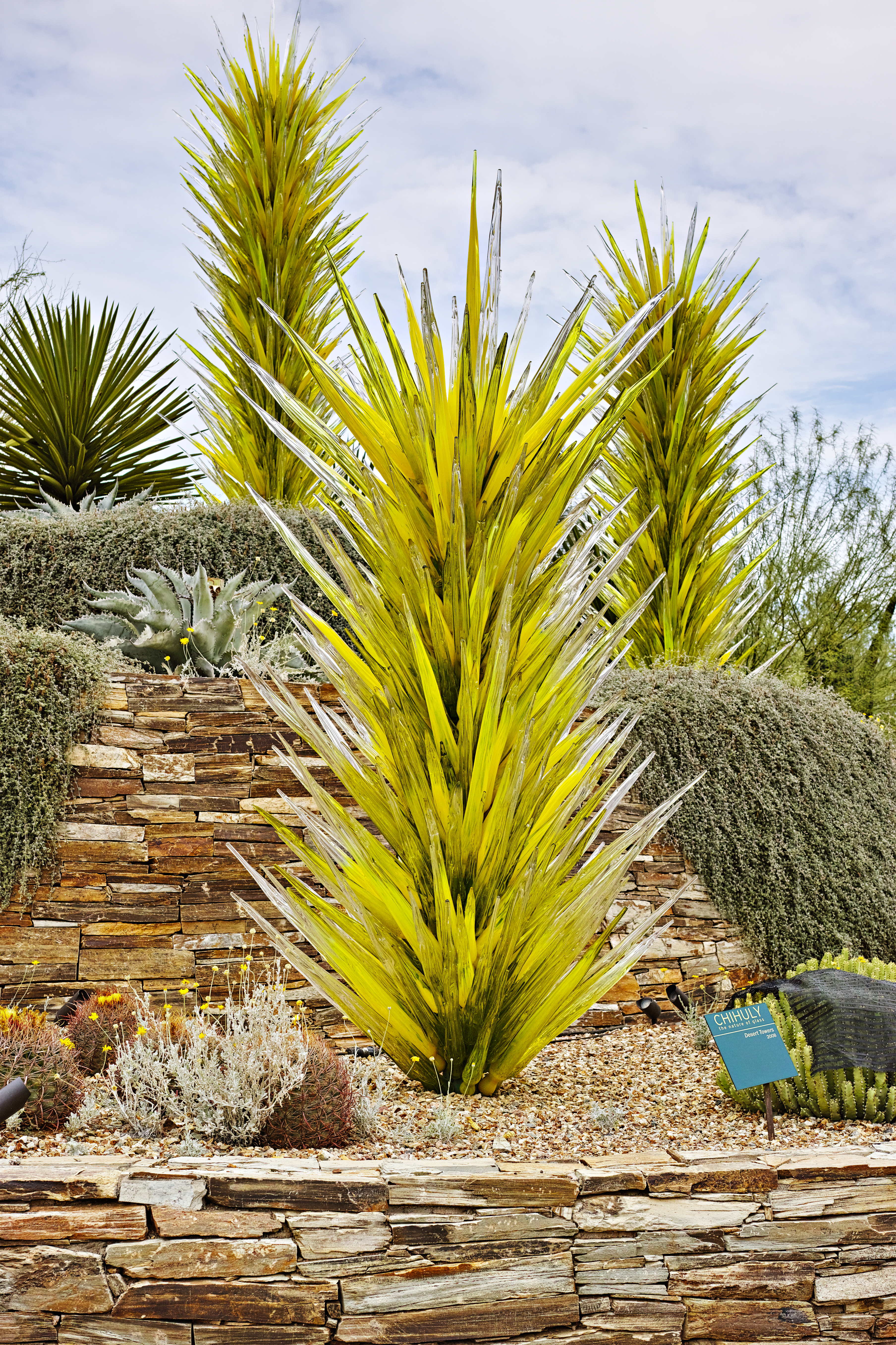 Rare Chihuly Cactus 2