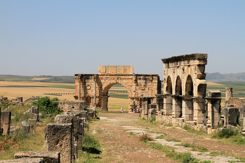 XIMG_8070.jpg