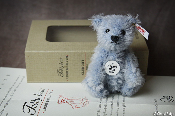 Steiff club bear 2004