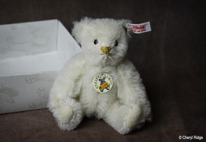 steiff club bear 2008