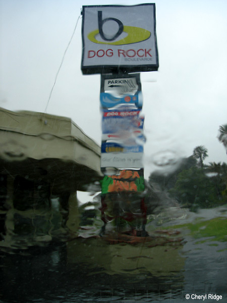 DSC00021-dog-rock-albany.jpg