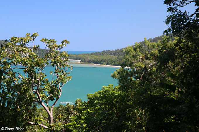 1769-daintree.jpg