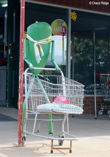 5263-balranald-frog.jpg