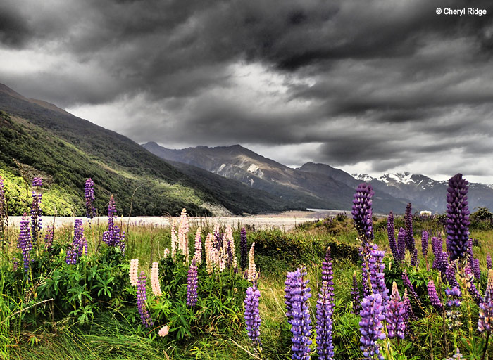 PC290208-arthurs-pass.jpg
