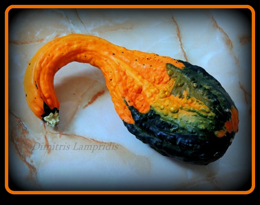 zucchini  ...