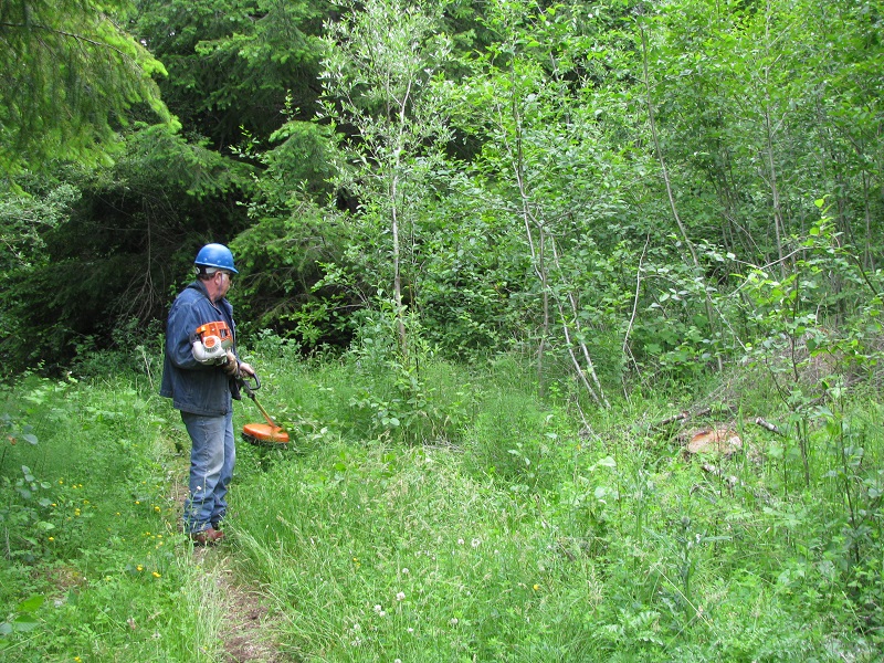 Brush Cutter.JPG
