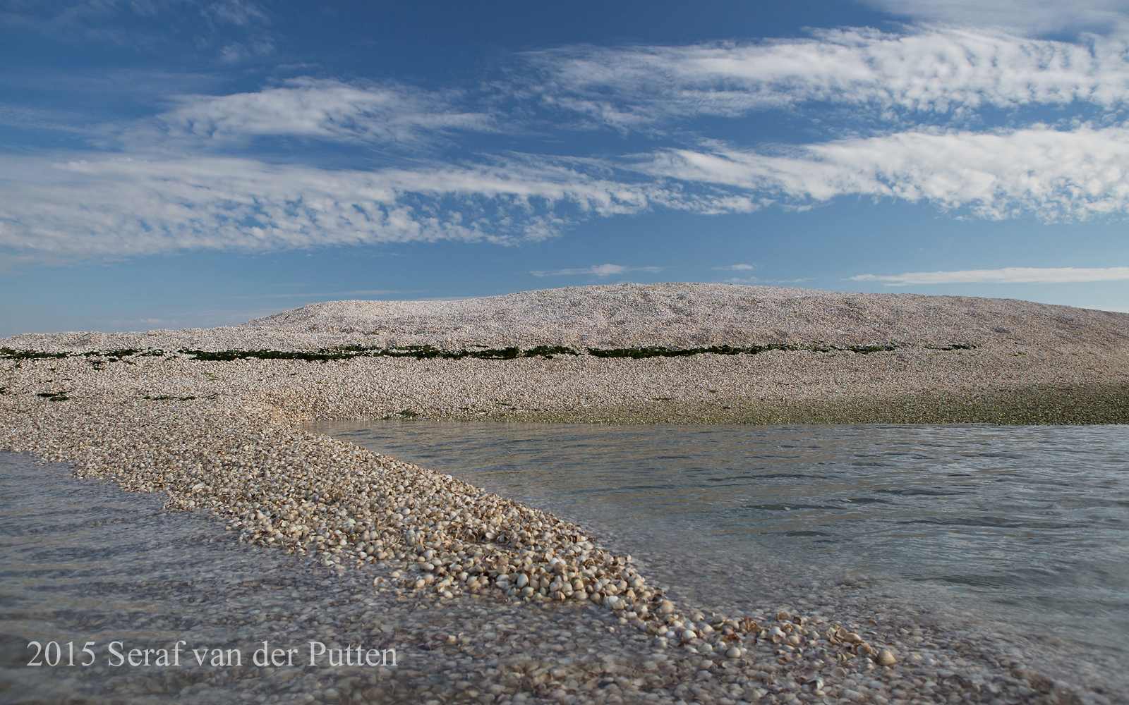 Schelpenbult; Roggenplaat; Oosterschelde; Zeeland
