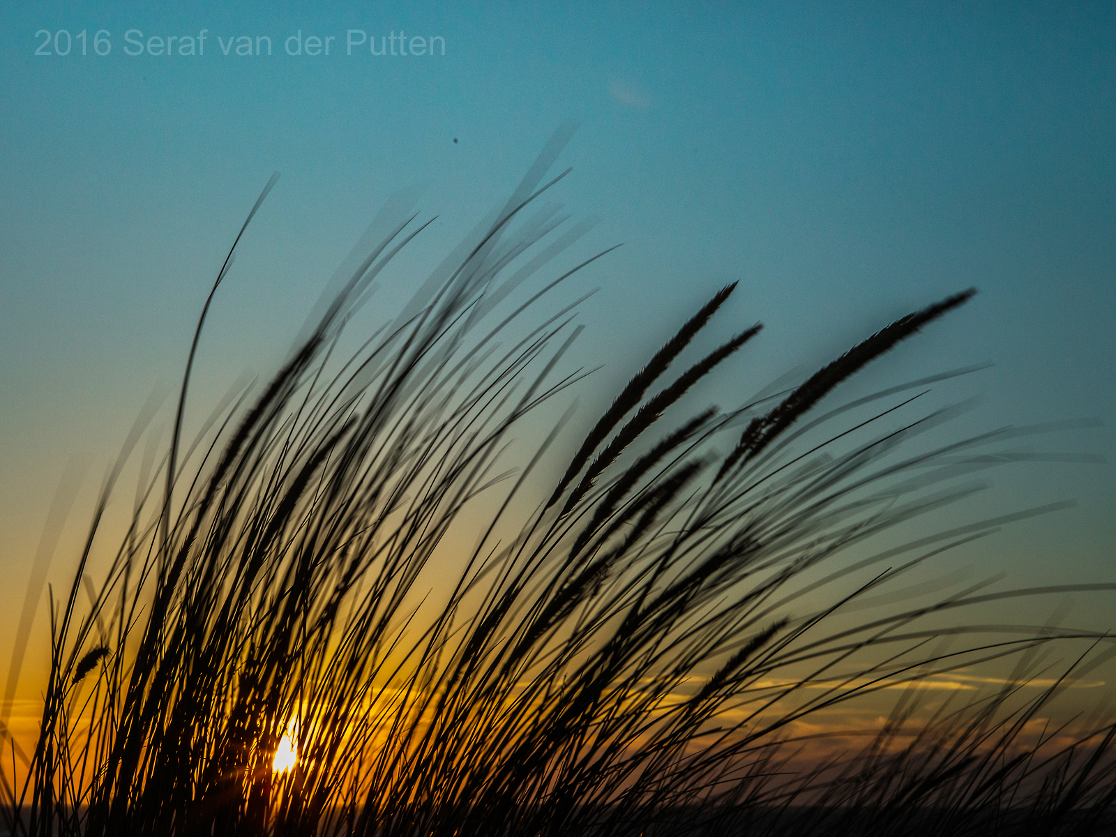 Strand; Beach