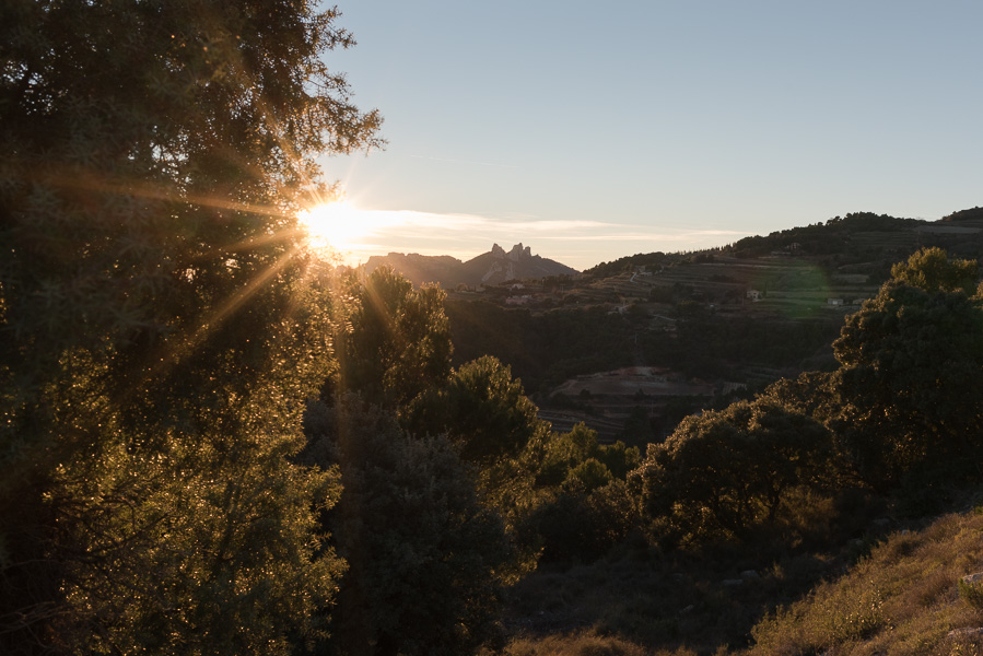 Dentelles de Montmirail