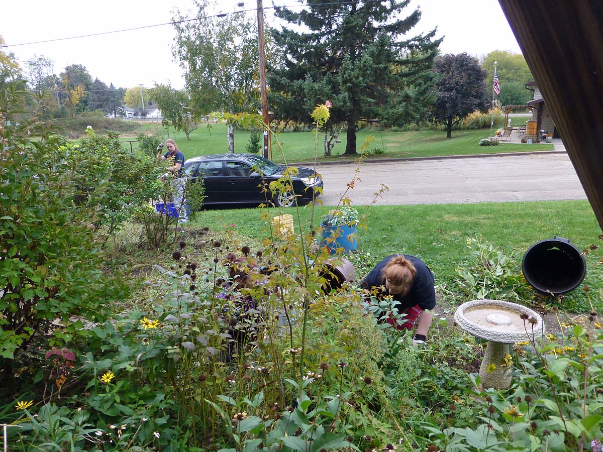 10-15 3 helpers in the yard!