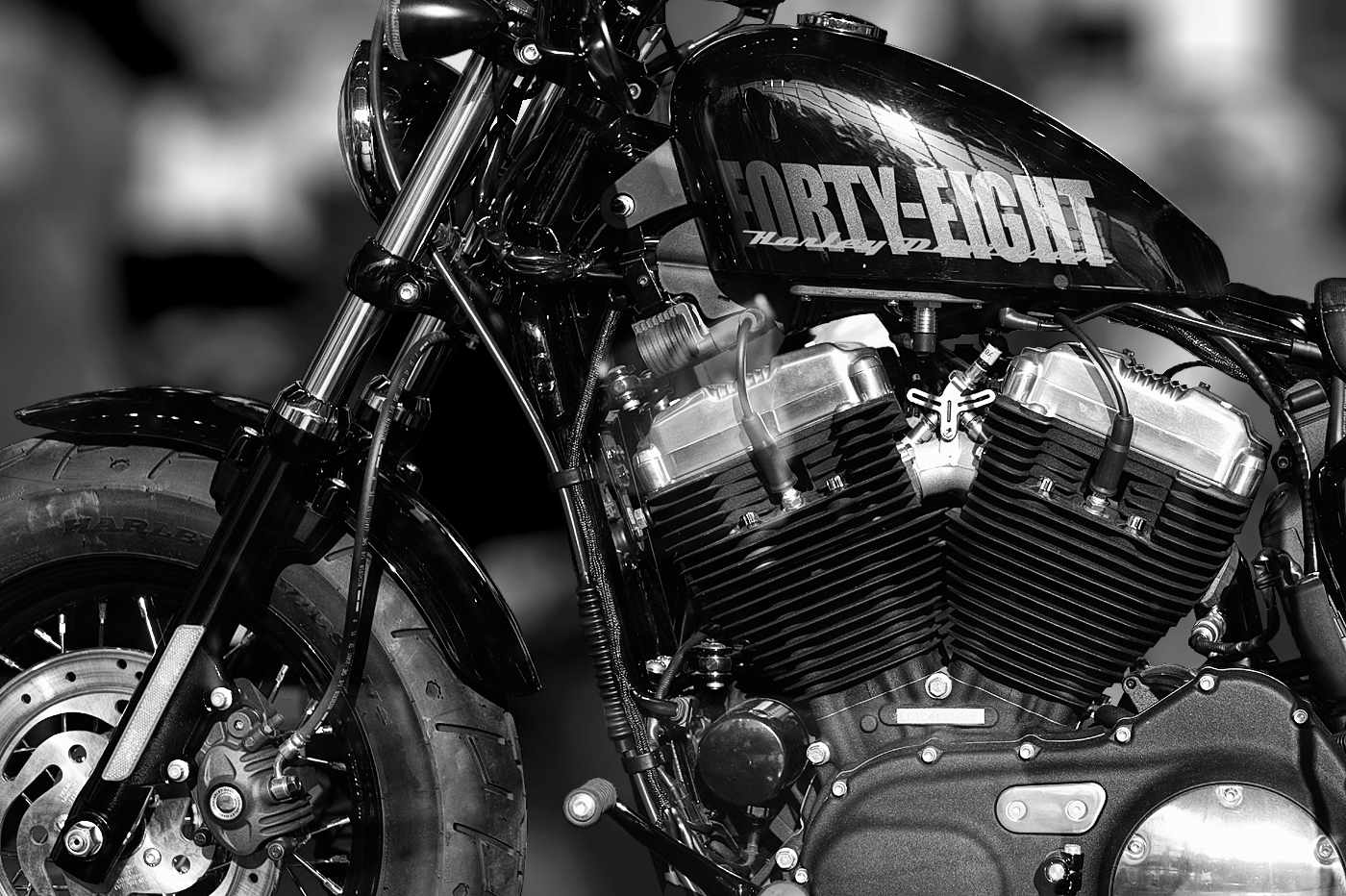 Harley-Davidson Forty-Eight  A Blast From The Past