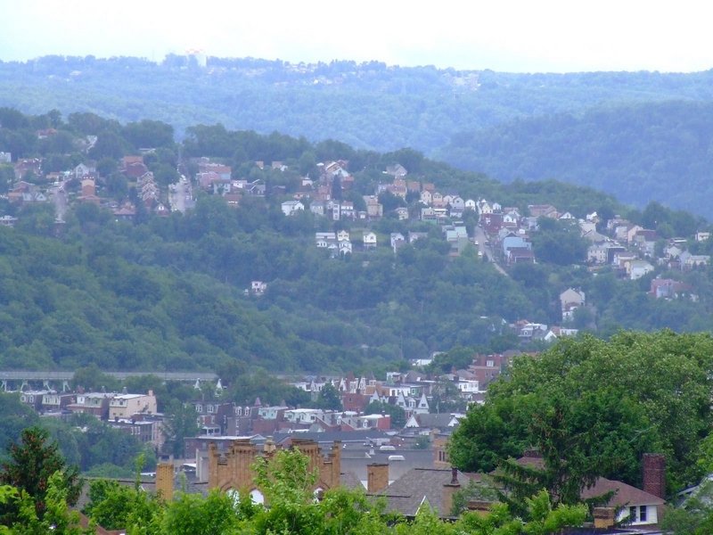 DSCF1547.jpg