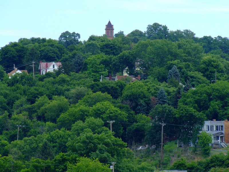 DSCF2319.jpg