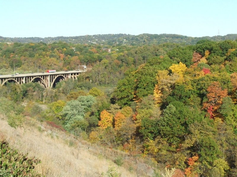 DSCF4124.jpg