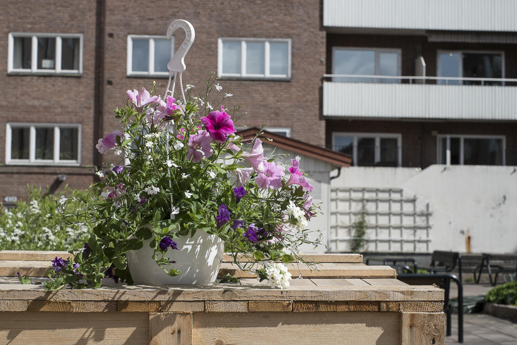 Blomster ligger klare til å henges opp av flittige hender