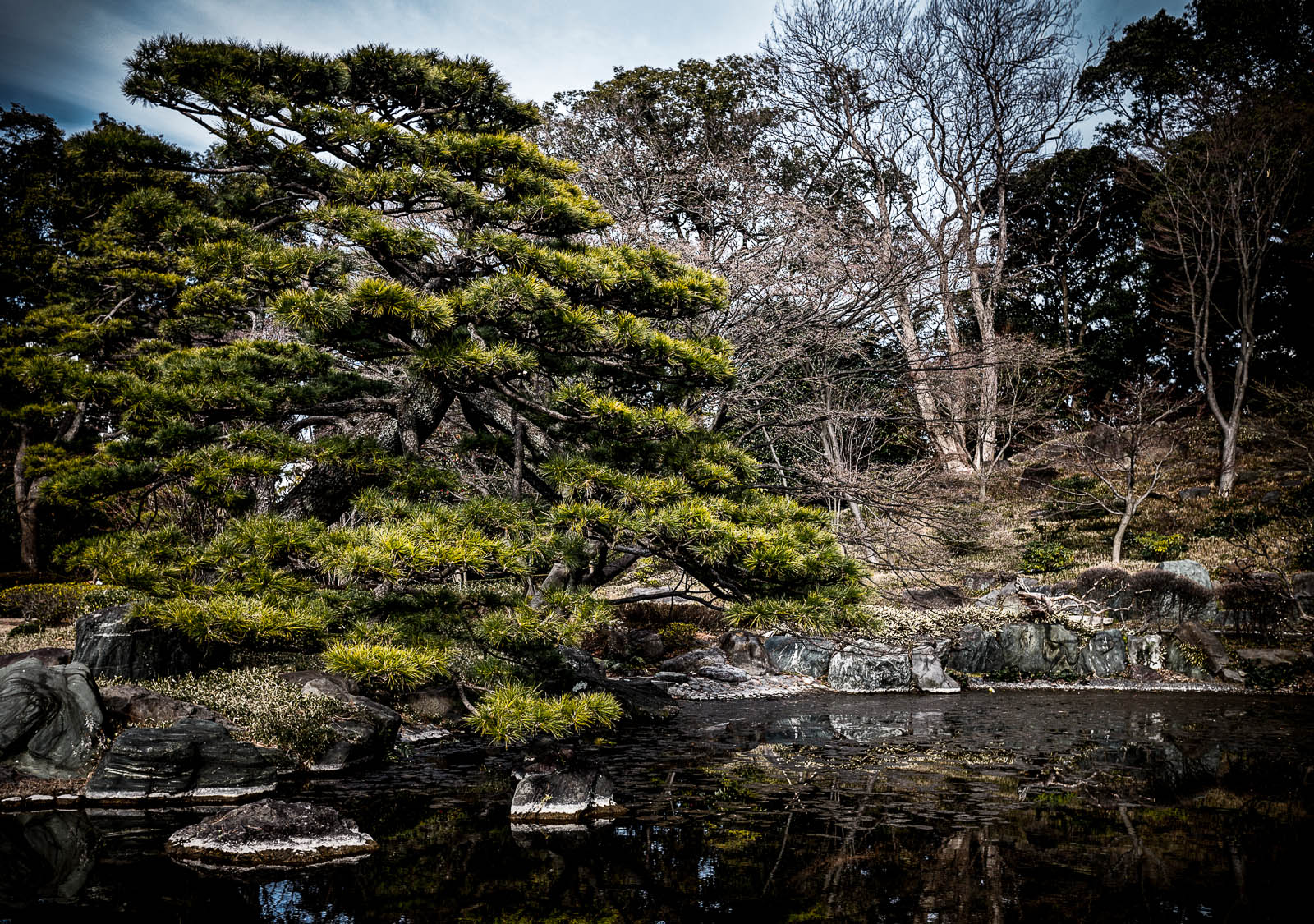 Japan Winter/Spring 2014