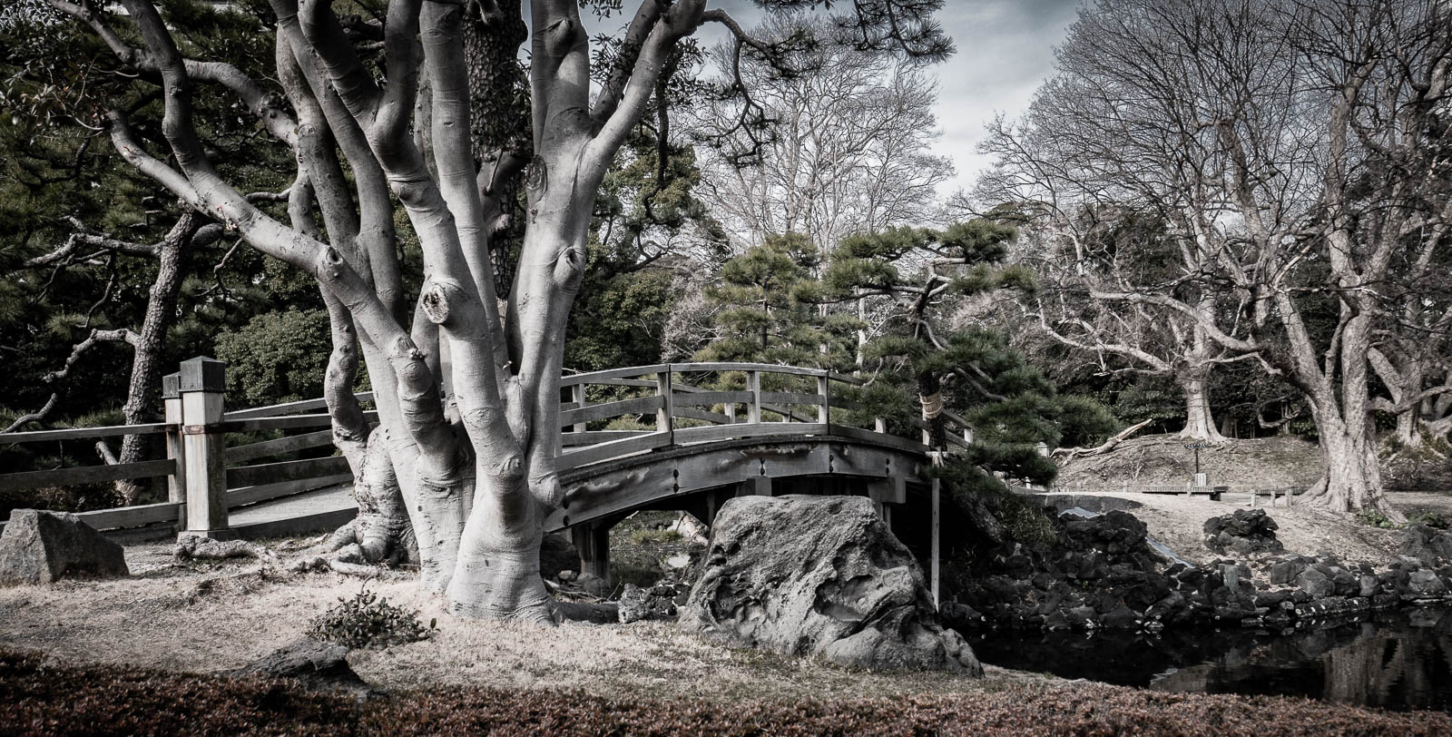 Japan Winter/Spring 2014