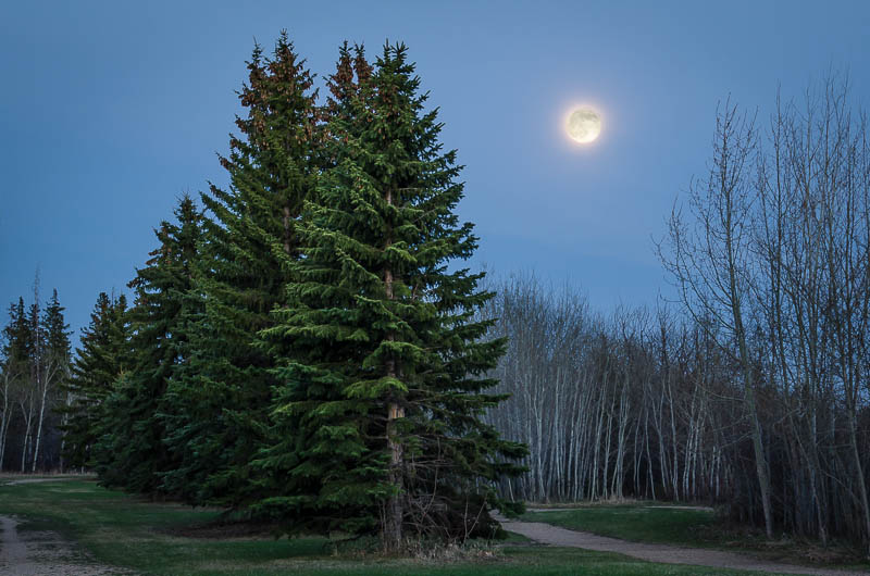 Full Moon Over Twin Brooks