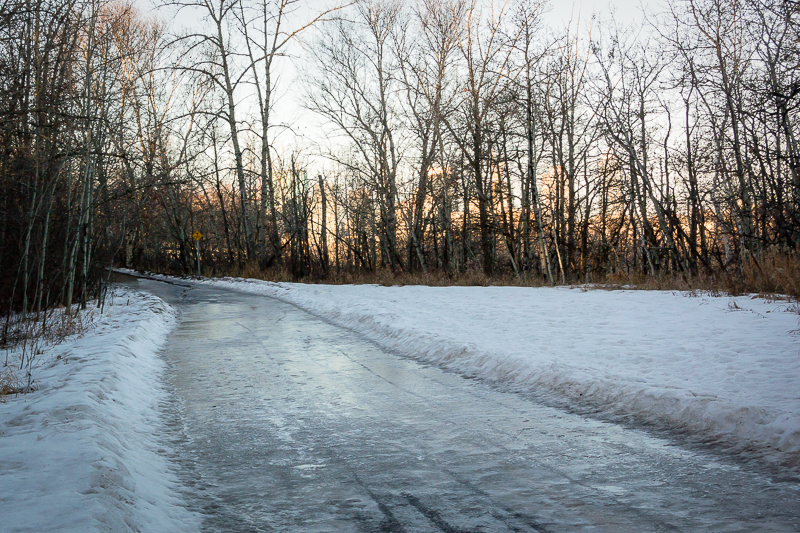 A Little Icy This Morning