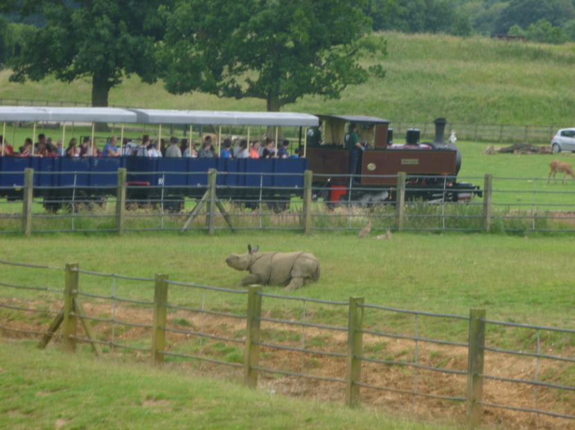Jumbo Express
