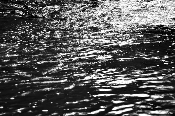 B&W_0989.jpg