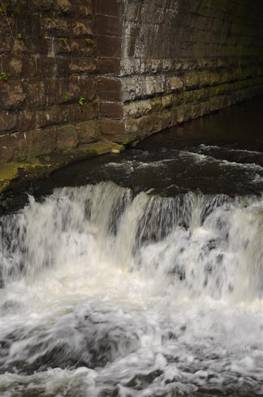 DSC_0965.JPG