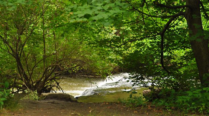 DSC_0975.JPG
