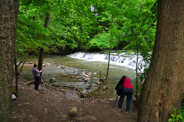 DSC_0979.JPG