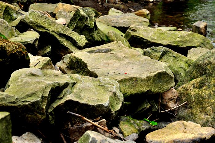 Rocks_0991.jpg