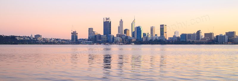 Pelican on tthe Swan River at Sunrise, 1st July 2016