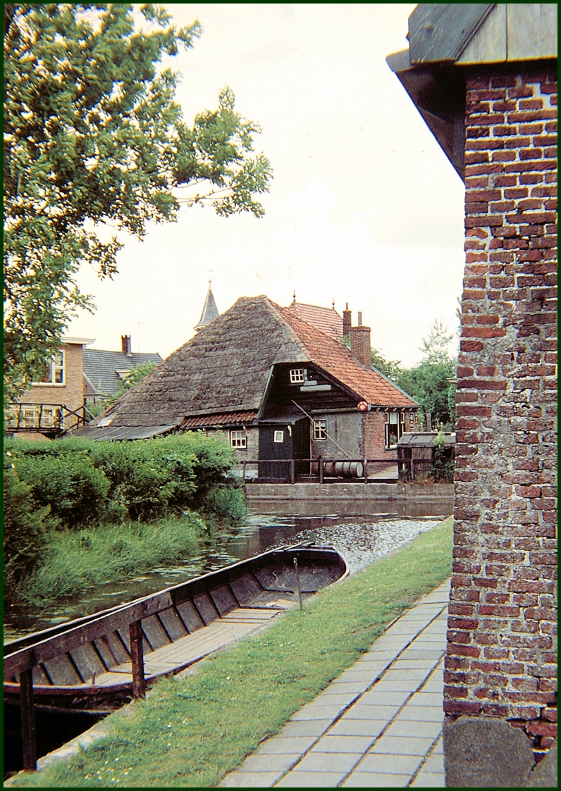 DG 3560.jpg