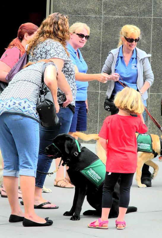 Seeing-eye-dogs.
