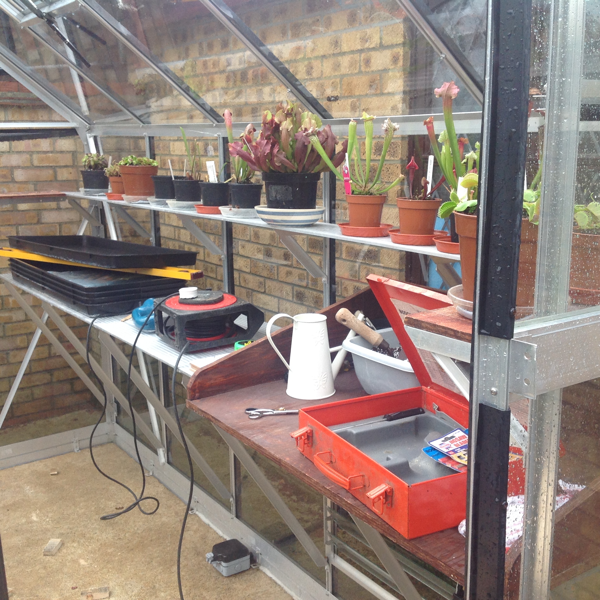 Over wintering plants