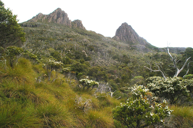 Cradle Mountain