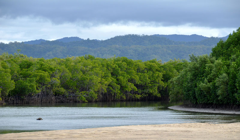 Plantation Creek estuary