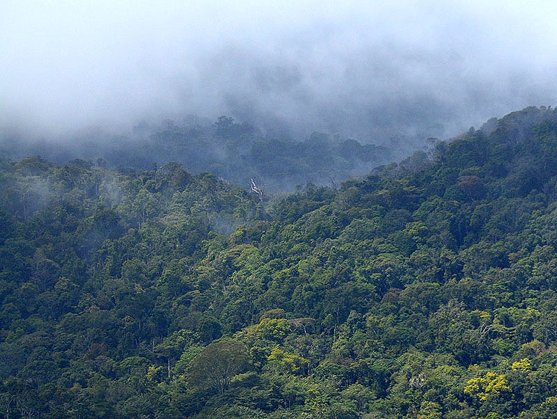 Hugh Nelson Range