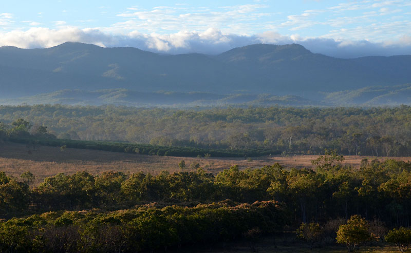 Mareeba landscape