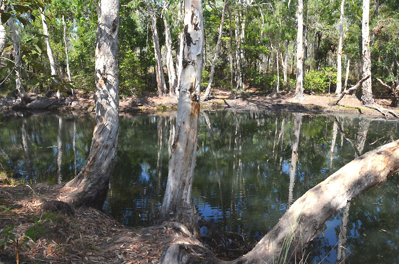 Turtle Yards waterhole
