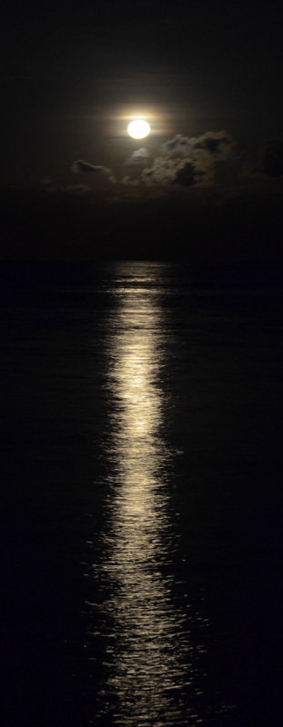 watery moonrise