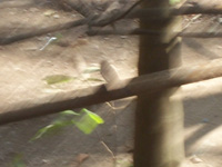 100_1449.jpg
