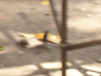 100_1450.jpg