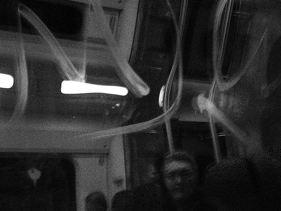 Zw witP1260320a.jpg