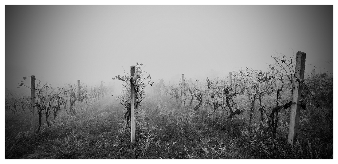 first frost