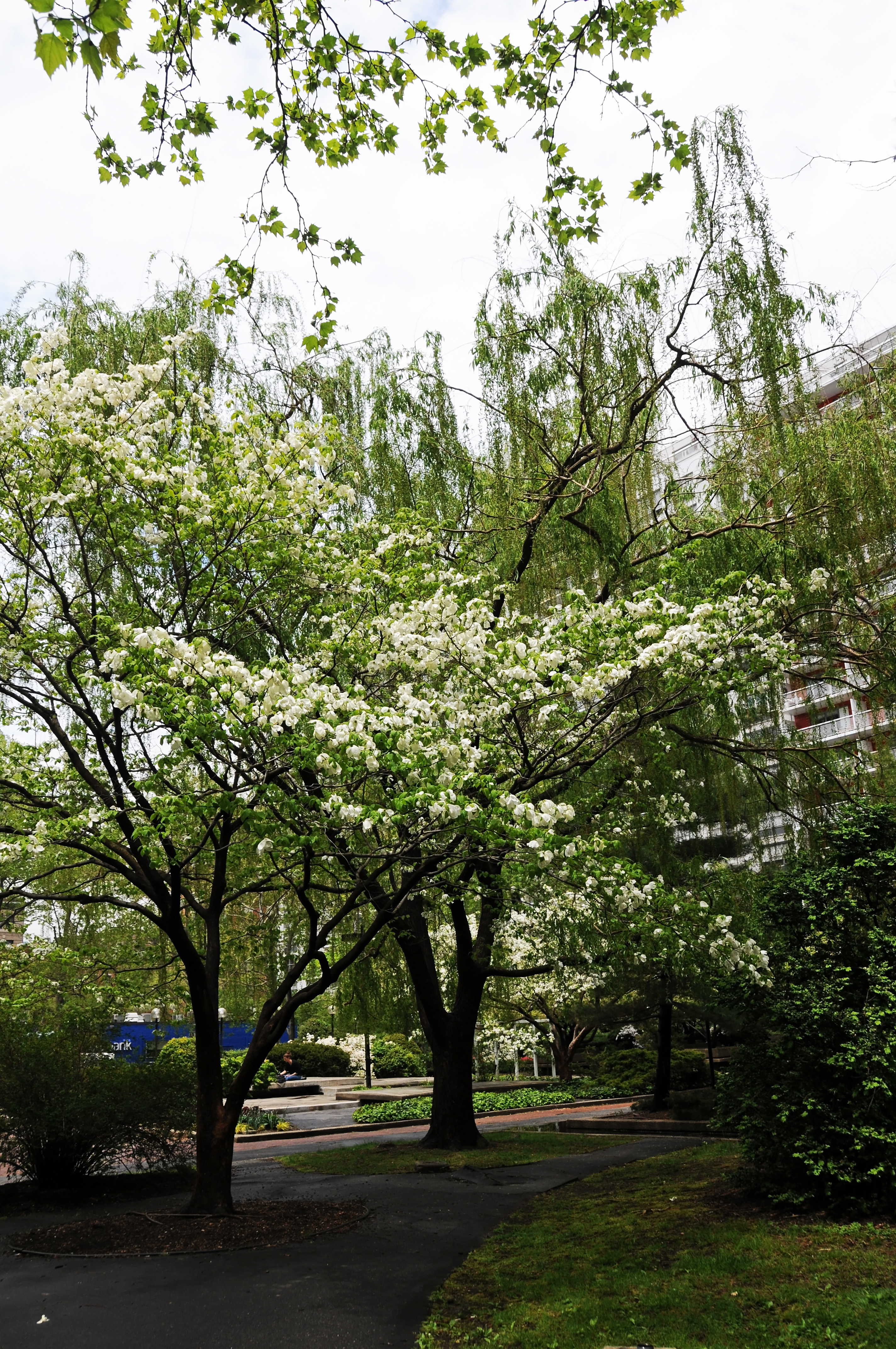 DSC_2847.JPG