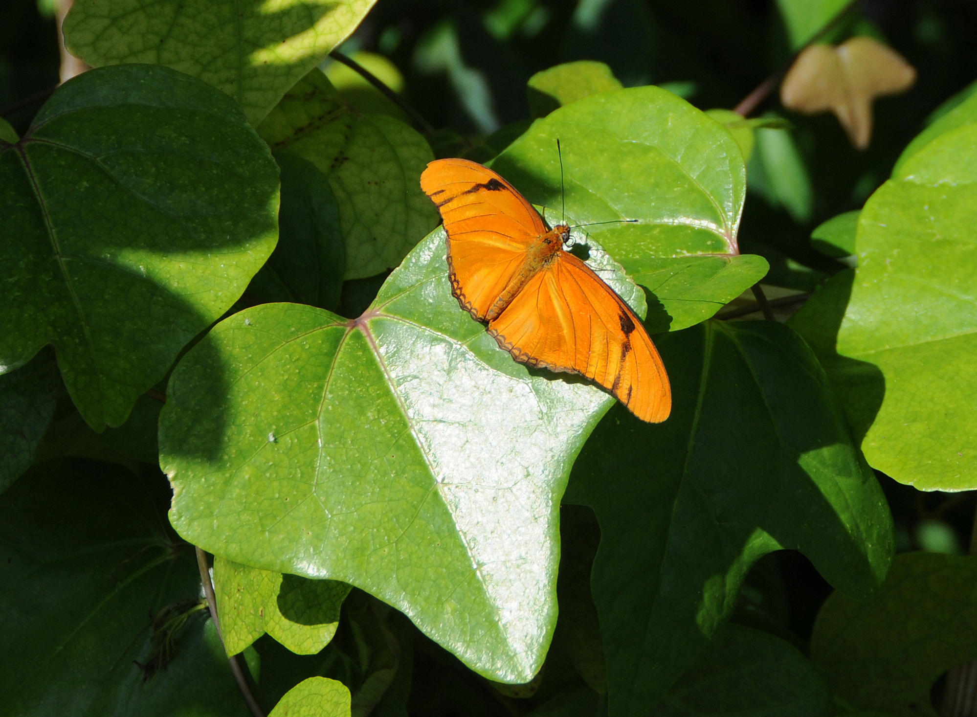 DSC_8150.JPG