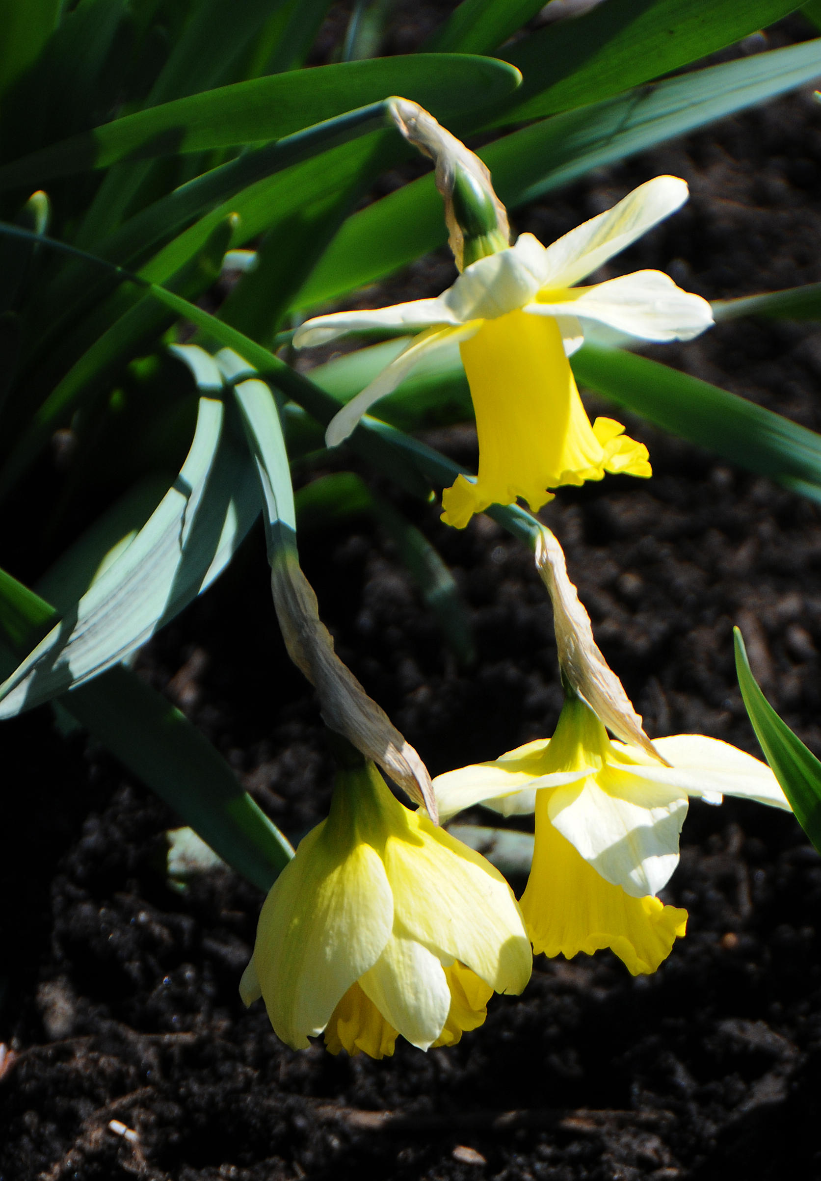 DSC_8839.JPG