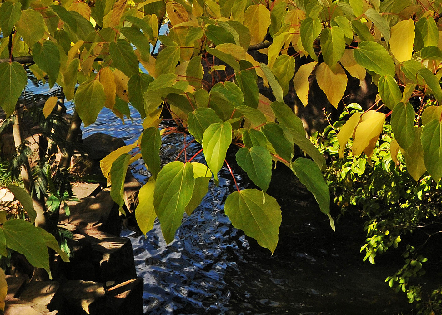 DSC_9441 copy 2.jpg